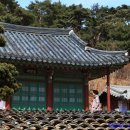 불쭈꾸미 - 영주시 중앙로 43 | 불쭈꾸미
