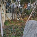 뚱스PC | 광주 양림동 가성비 맛집, 뚱스넥