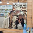 대관령목장 | 강릉 여행 가볼만한곳 대관령 양떼목장 후기 (네이버 예약 꿀팁)