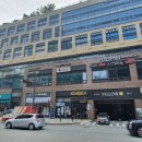 아브뉴프랑 옐로우 이미지