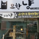 묘한냥 이미지