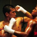 최우수 체육관 이미지