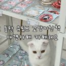 레오그루밍 | [동탄 고양이카페] 유튜브 고양이산책 실내데이트 애견카페 &#34;카페레오&#34; 메뉴 후기