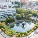 중앙대학교 사회복지대학원 이미지