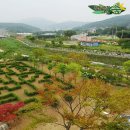 화성도시공사 체육시설 1부 봉담2생태체육공원 축구장 | [경기도 의왕시] 황토장어본점