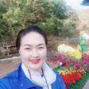 홍연교밑 | 가을 분위기 물씬 홍제천 폭포마당 앞 가을꽃길 다녀온 후기