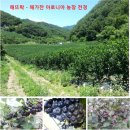 원금농장 이미지