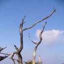 연인산풍경 이미지