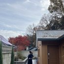 여울바림 이미지