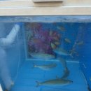 바다수산회 이미지