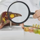 건강한 삶 즐거운 인생 이미지