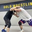 골드 레슬링 태릉 이미지