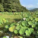 용평길 | 경남 함양 가볼만한곳 상림공원 지안재 오도재 칠선계곡