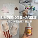 남도중기 | 차 임신기록👶🏻 - 입덧 끝(+육회냠냠), 임당검사, 임신중기 증상, 혼인신고, 아기옷 쇼핑, 타이니모빌...