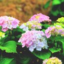 녹산고향동산1(기념관) 이미지