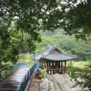 [주말 여행] 물소리에 시 한 수, 달빛에 술 한잔 정자문화