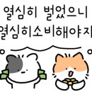 용현스크린골프 이미지