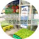 전완주군 소양면 하나로마트 소양농협본점