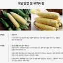 더단 이미지
