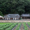 기사길(예안면) 이미지