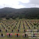 365행정사 사무소 이미지