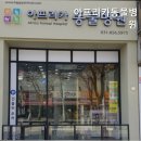 아프리카동물병원 | 안성동물병원 아프리카동물병원 안성의 믿음직한 병원