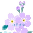 마니또김밥 이미지
