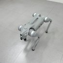 로봇RD센터 이미지