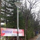 파호초등학교 이미지