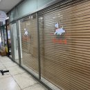 댄디하개 이미지