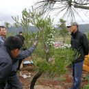 방죽골농장 이미지