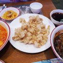 후이후이 - 7988 | 후이후이