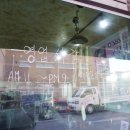 단뽀뽀 이미지
