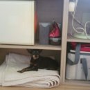 양평가축병원 이미지