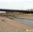 삼일키즈태권도 이미지