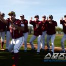 빵야빵야 이미지