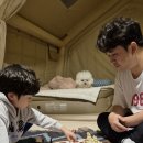 의령나루캠프 이미지