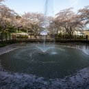 동광농장 이미지