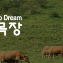 미션푸드시스템 이미지