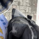 대전본동물병원 이미지