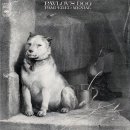 FOR YOU DOG 이미지