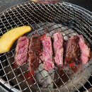 대성시크블루 이미지