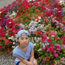 정수농장 이미지