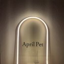 에이프릴펫 이미지