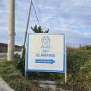 포항베리굿의원 | [포항 글램핑] 포항 오션뷰 숙소 호미곶 글램핑 추천 풀글램핑&amp;펫글램핑