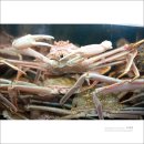 영덕목장 이미지