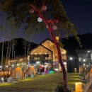 수피아동물병원 이미지