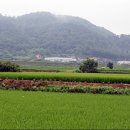 내이랑마을 이미지