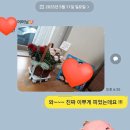 플라워디앤디