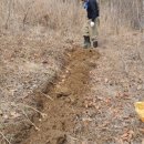 서화농장 이미지